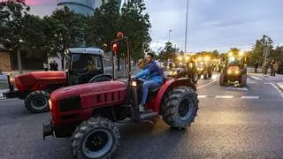 Las protestas agrarias llegan a Crevillent y Elche
