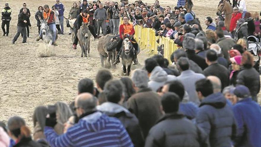 La Concha vibra con la carrera de caballos y burros por Sant Antoni