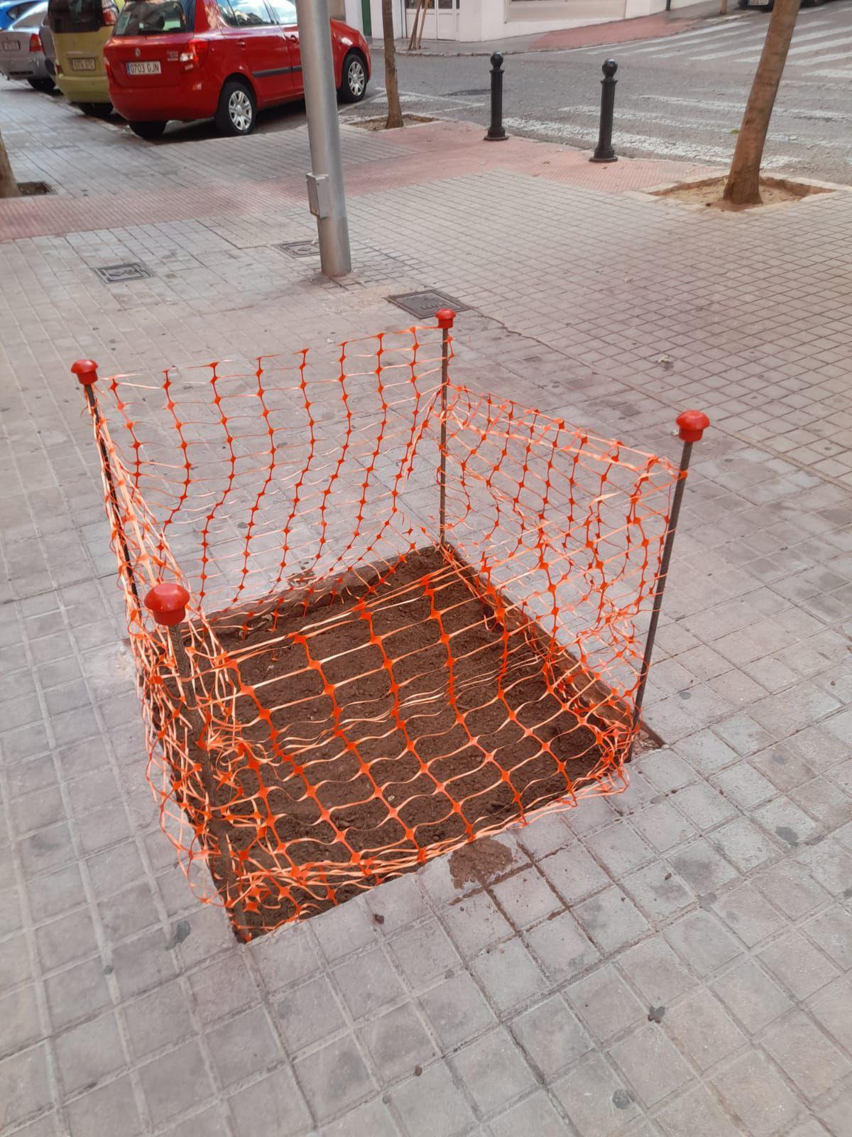 Trabajos para reparar y reponer árboles en alcorques vacíos de Alcoy