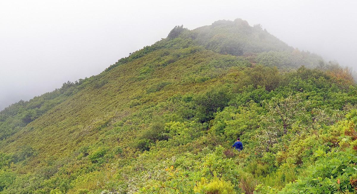 Ruta circular al Pico dos Tres Bispos (Obispos) en la Reserva de la biosfera Os Ancares lucenses y montes de Cervantes, Navia y Becerreá