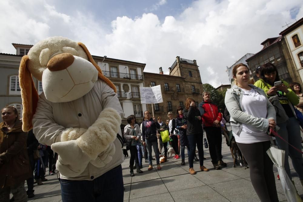 Concentración para reclamar un albergue de animales en Avilés