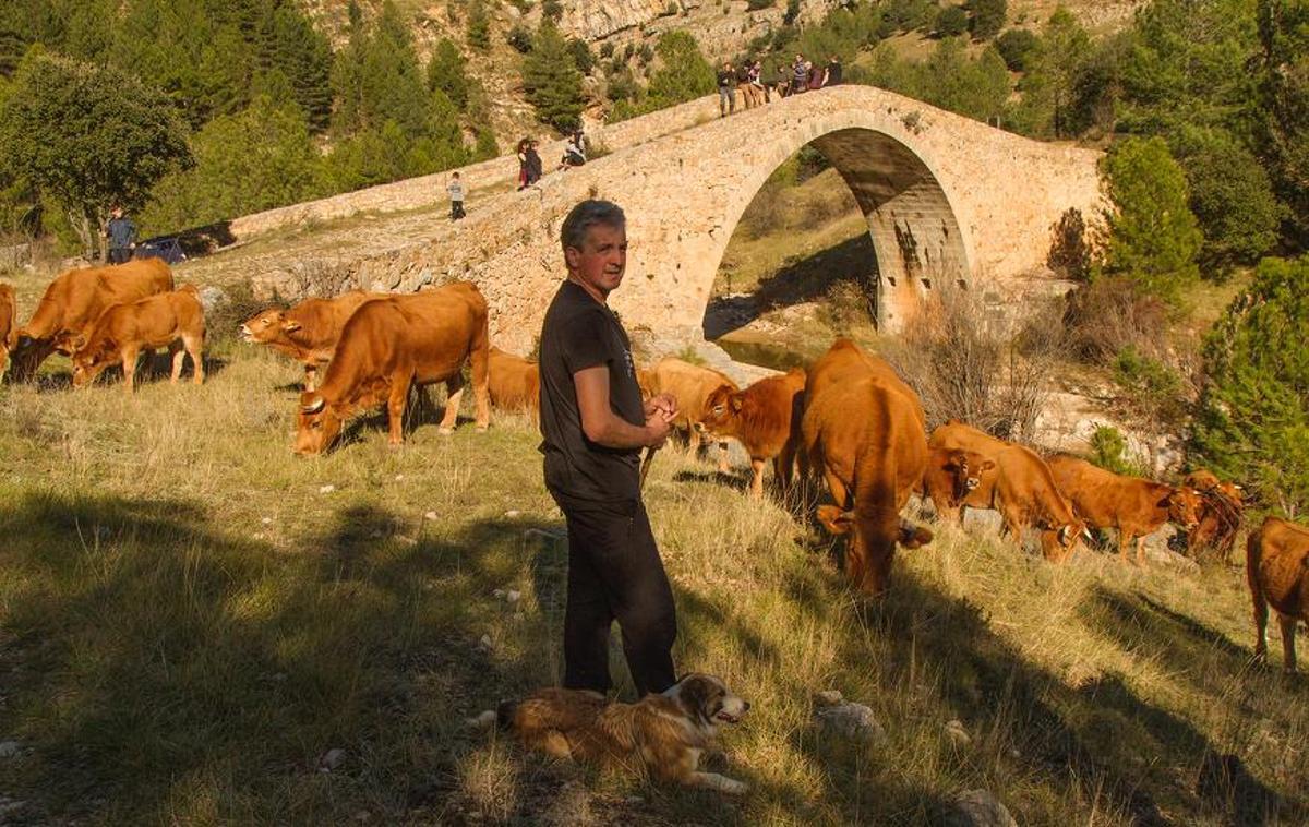 Fernando, en el puente romano de Vistabella, por donde lleva a sus vacas para pastar.