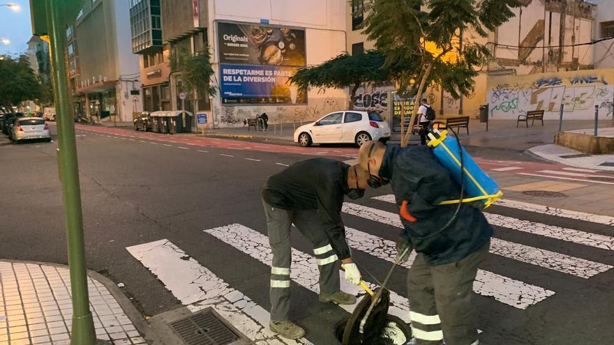 Salud Pública sanea las calles de Triana con una intervención especial con pintura blanca insecticida