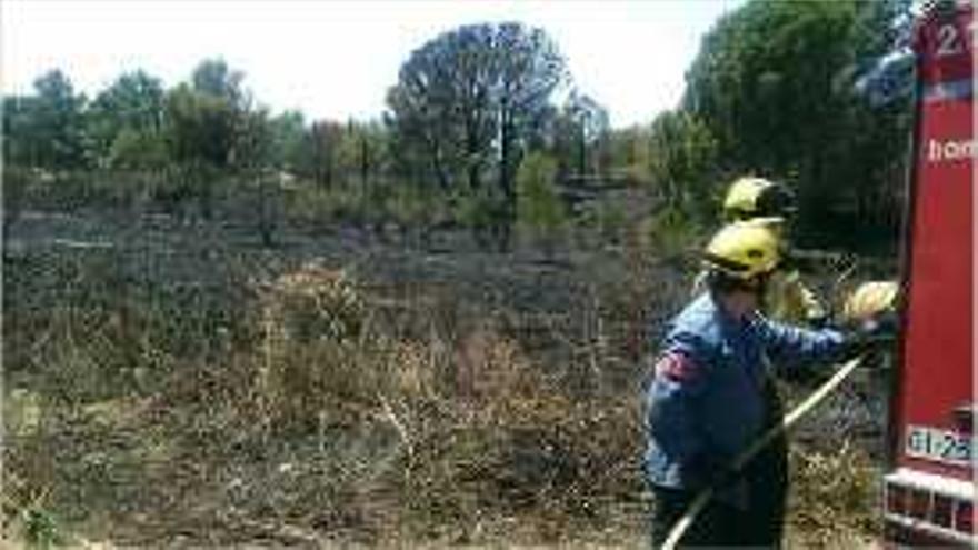 Efectius treballant a la zona amb les flames ja extingides.