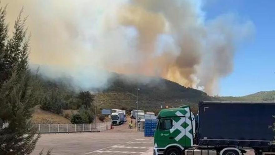 Vídeo | Incendio en Las Navas, al lado de Herrera del Duque