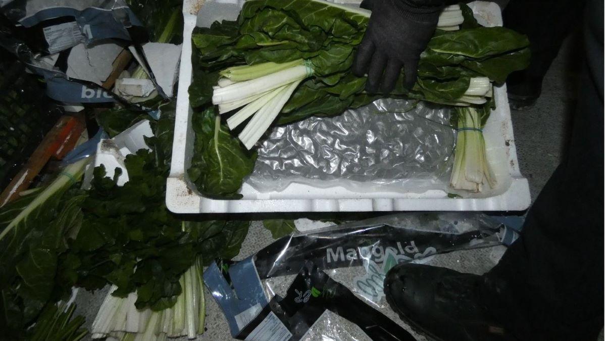 La droga intervinguda a Llers el 8 de febrer amagada en un palet de bledes.