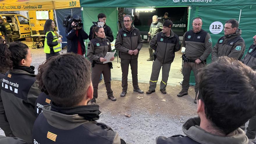 Vídeo | Amplien la cerca de porcs senglars morts a l'àrea de vigilància fins als 20 quilòmetres