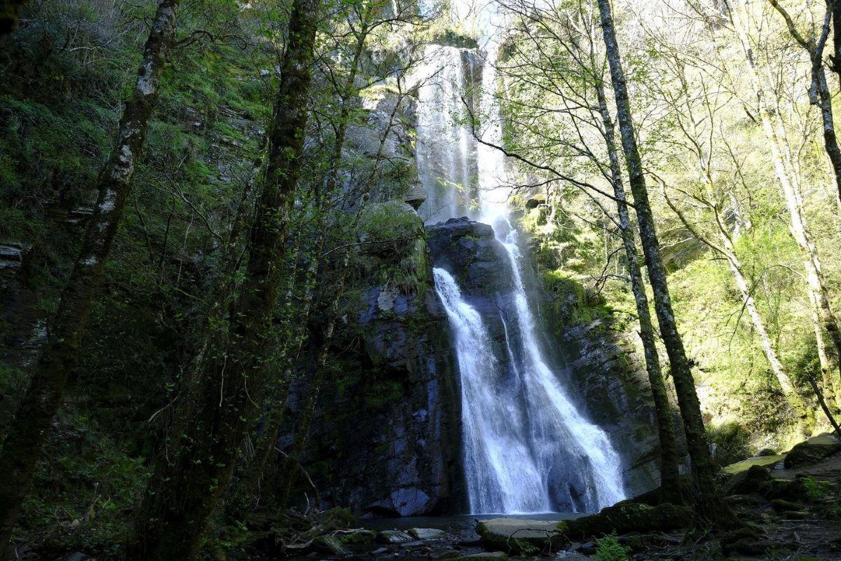 Esta cascada de más de 50 metros de altura se encuentra en uno de los principales puntos de paso del Camino Primitivo.