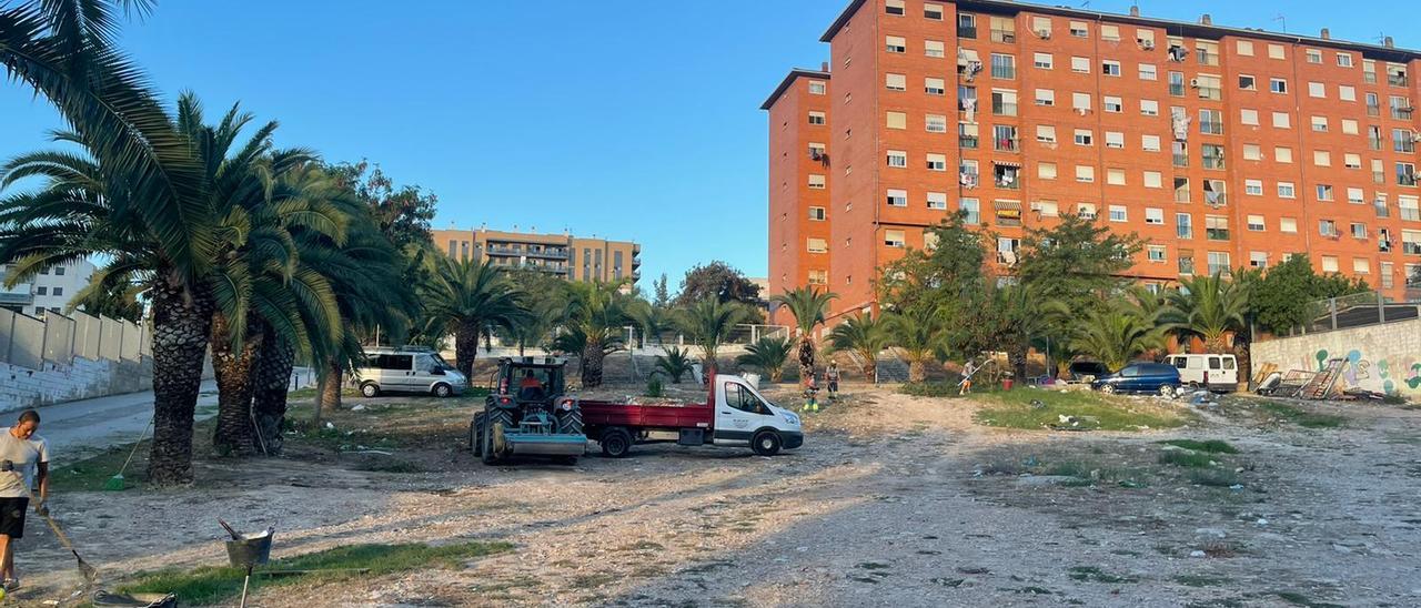 Uno de los solares de La Coma durante el dispositivo de limpieza