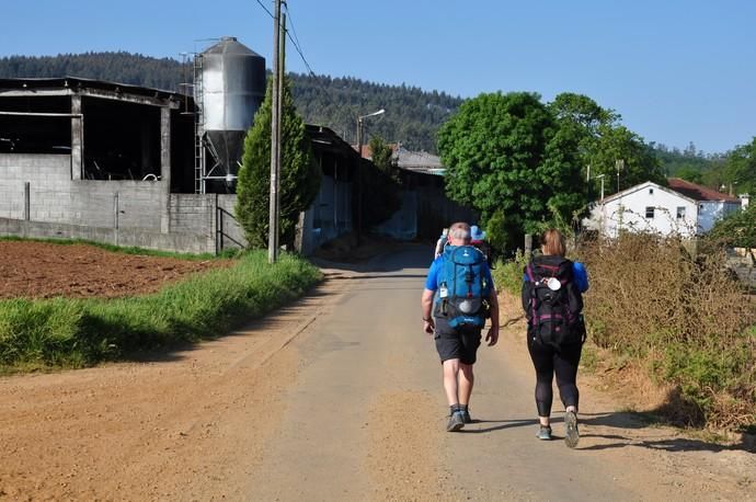 Canarios en el Camino de Santiago