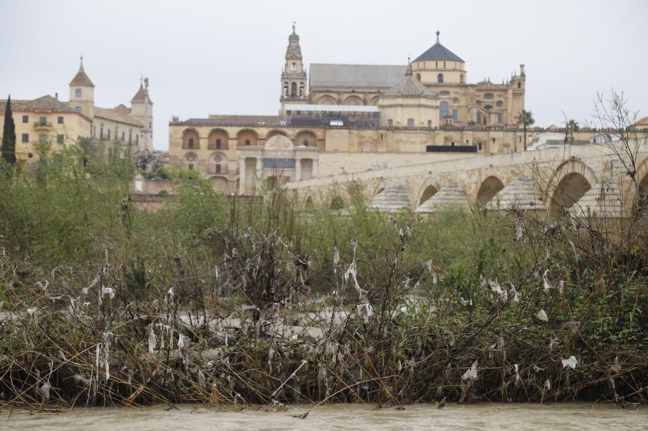 Sadeco culmina la limpieza de las zonas alcanzadas por el río