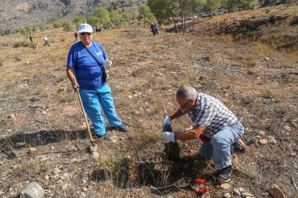 La Tercera Edad participa en la plantación de un centenar de árboles