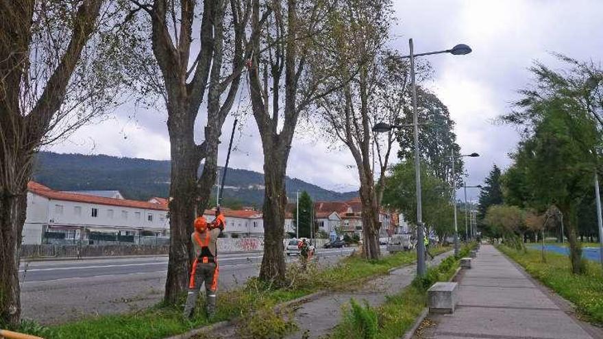 Retirada de los restos. // G.N.