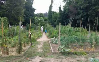 Contrato urgente tras quedar desierto el lote para las zonas verdes del paseo marítimo de Culleredo