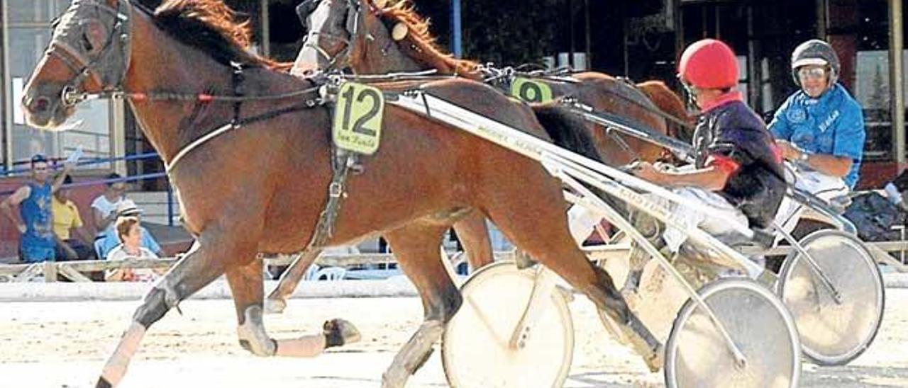 El caballo francés Rais de l´Iton (12), con Joan Toni Riera, en una de sus victorias en Son Pardo.