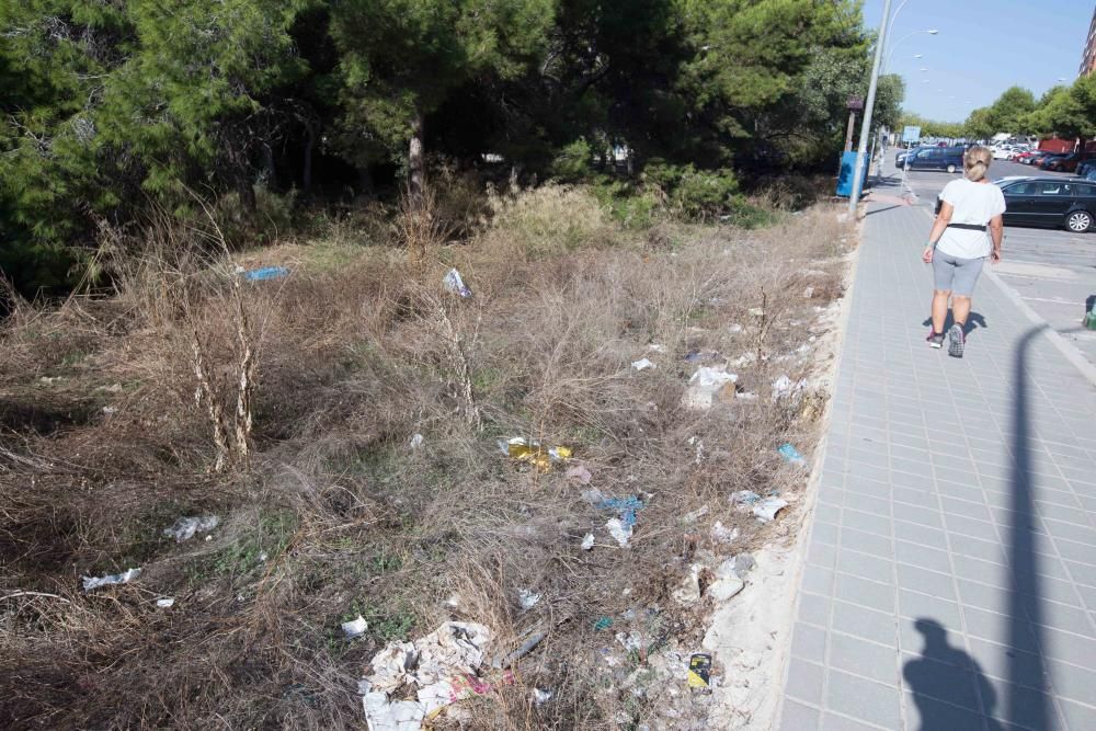 Abandono en la zona del Palmeral de San Gabriel