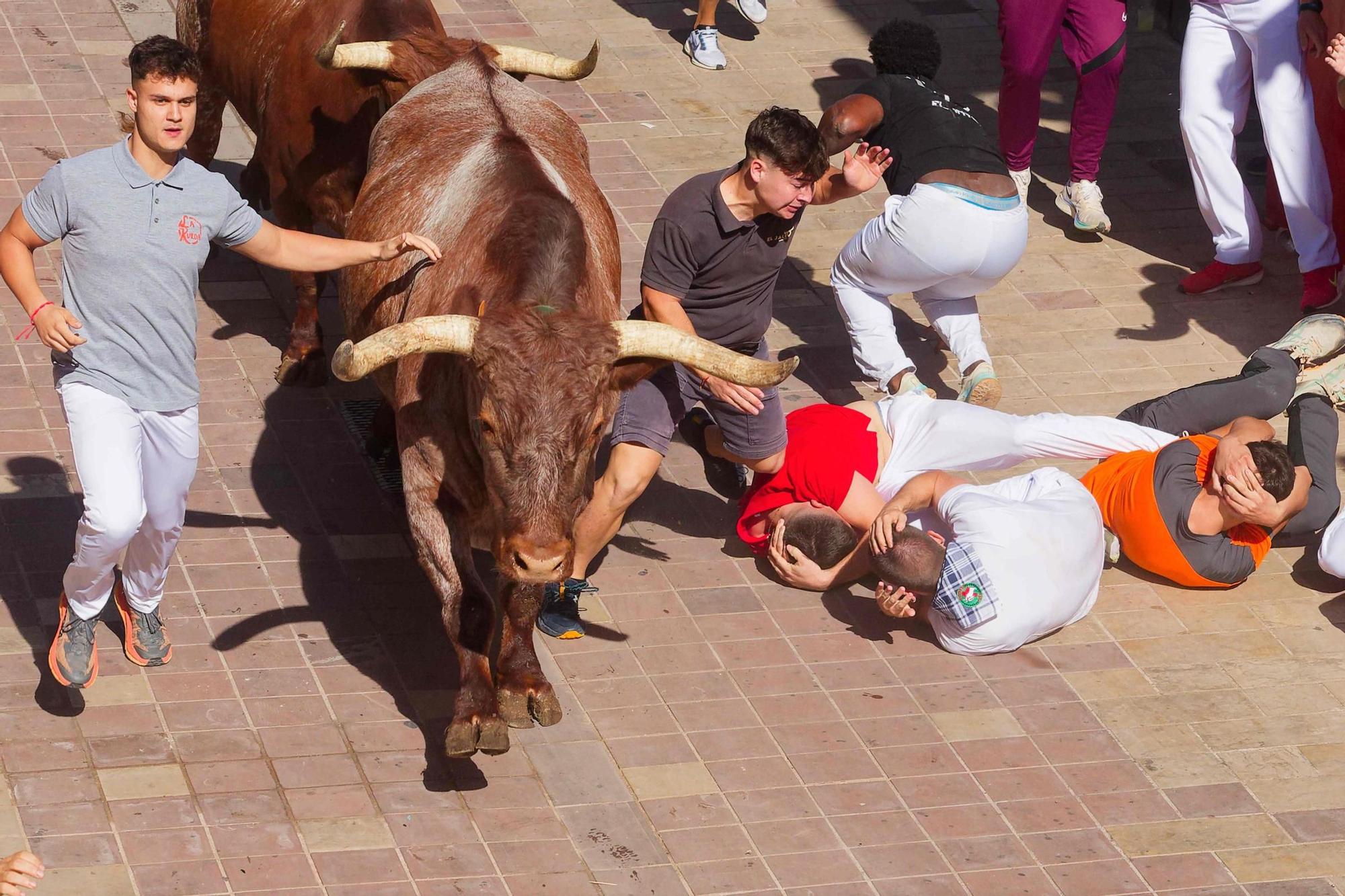 Las imágenes del primer encierro de las fiestas de Almassora