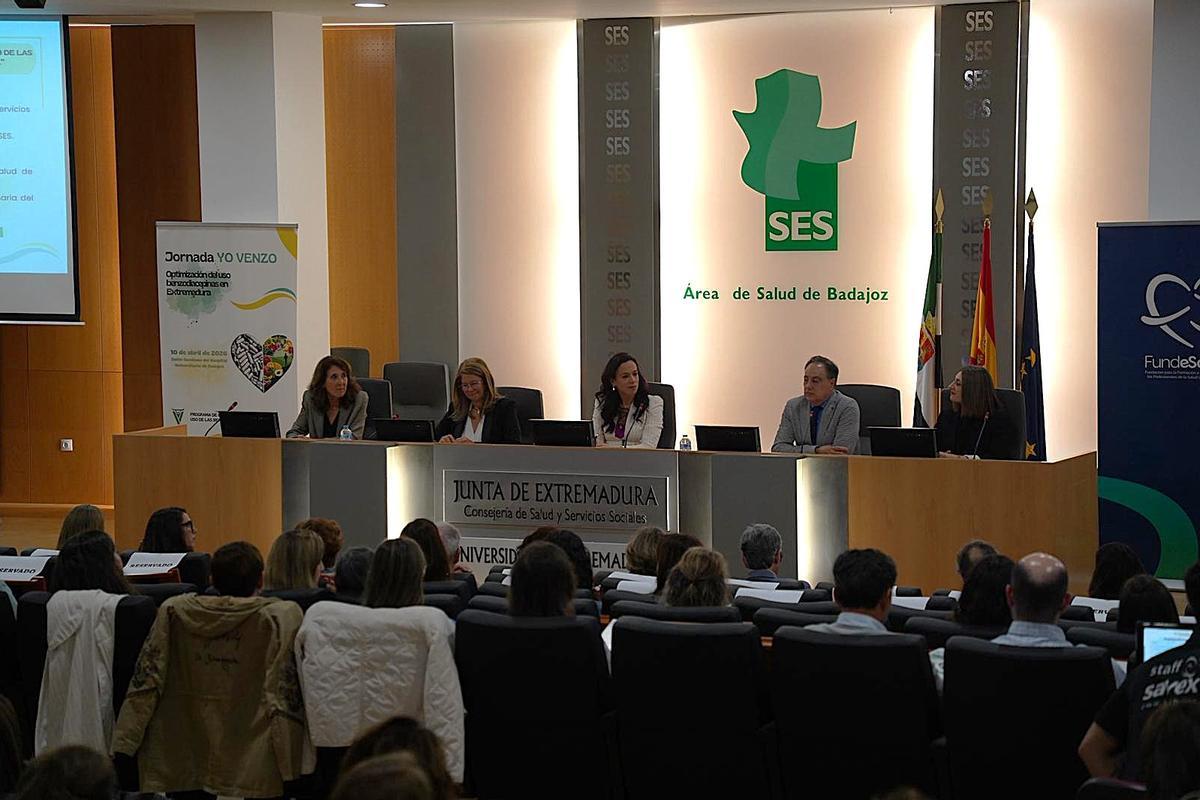 Responsables del SES y profesionales santiarios durante la jornada celebrada esta mañana en Badajoz.