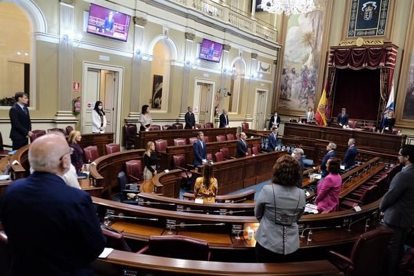El primer Pleno del Parlamento de Canarias en estado de alarma