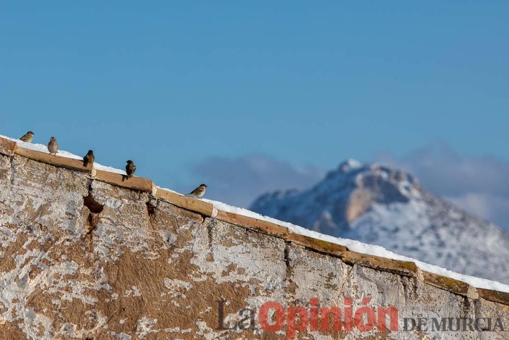 La nieve sigue siendo protagonista en el Noroeste