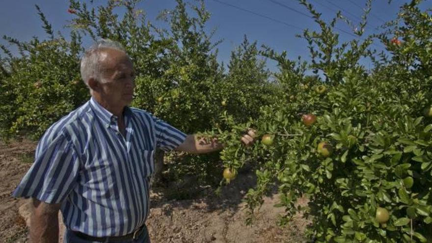 Los regantes temen que el corte de suministro afecte a los cultivos