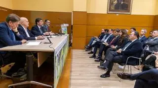 Así han aumentado los pisos turísticos en Alicante