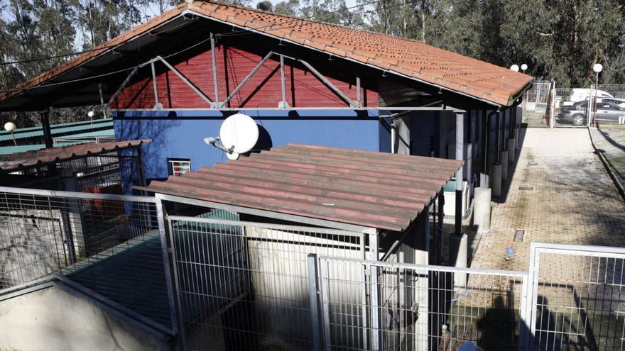 Las instalaciones municipales del albergue de animales de Serín. | Ángel González