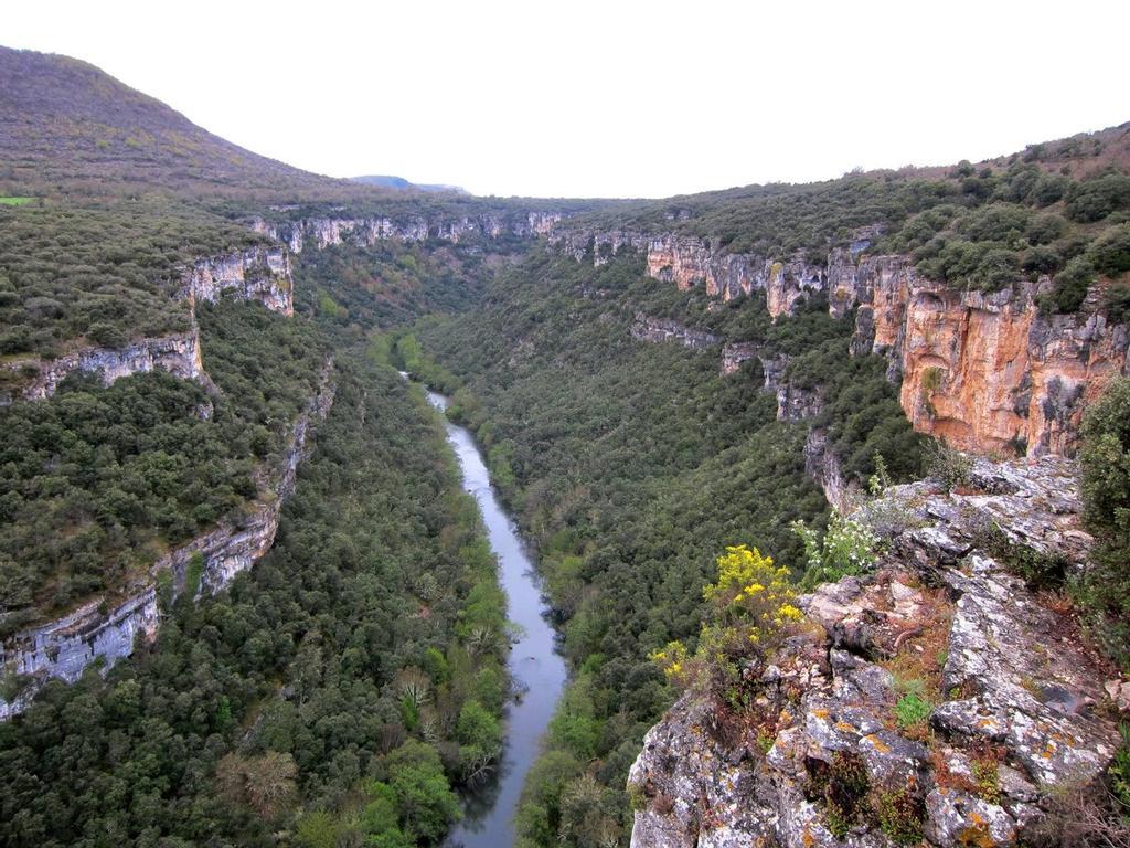 Localidad de Pesquera de Ebro