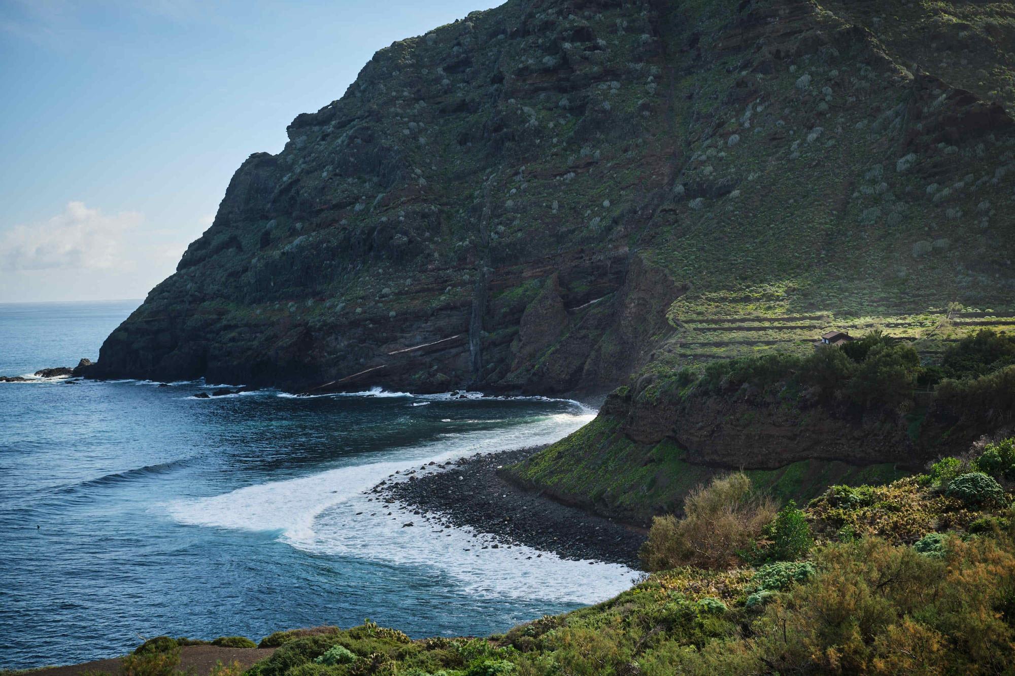 Limpieza de la playa Los Troches, en Punta del Hidalgo