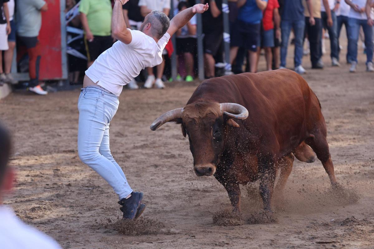 Fotogalería I Las imágenes de la tercera jornada de 'bou al carrer' de las fiestas de Sant Pasqual en Vila-real