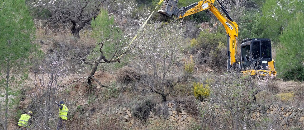 La Xylella Fastidiosa ha diezmado los almendros en varias comarcas de la provincia