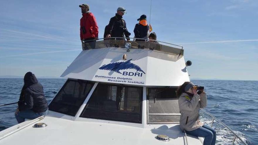 Seguimiento de mamíferos marinos a bordo del barco principal del BDRI. // FdV