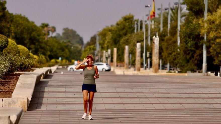 Temperaturas extremas en Córdoba: Montoro supera los 42 grados y el riesgo de incendios se dispara