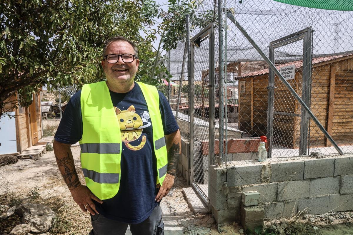 En riesgo el futuro de 400 gatos de Alicante debido a la delicada situación de su protectora