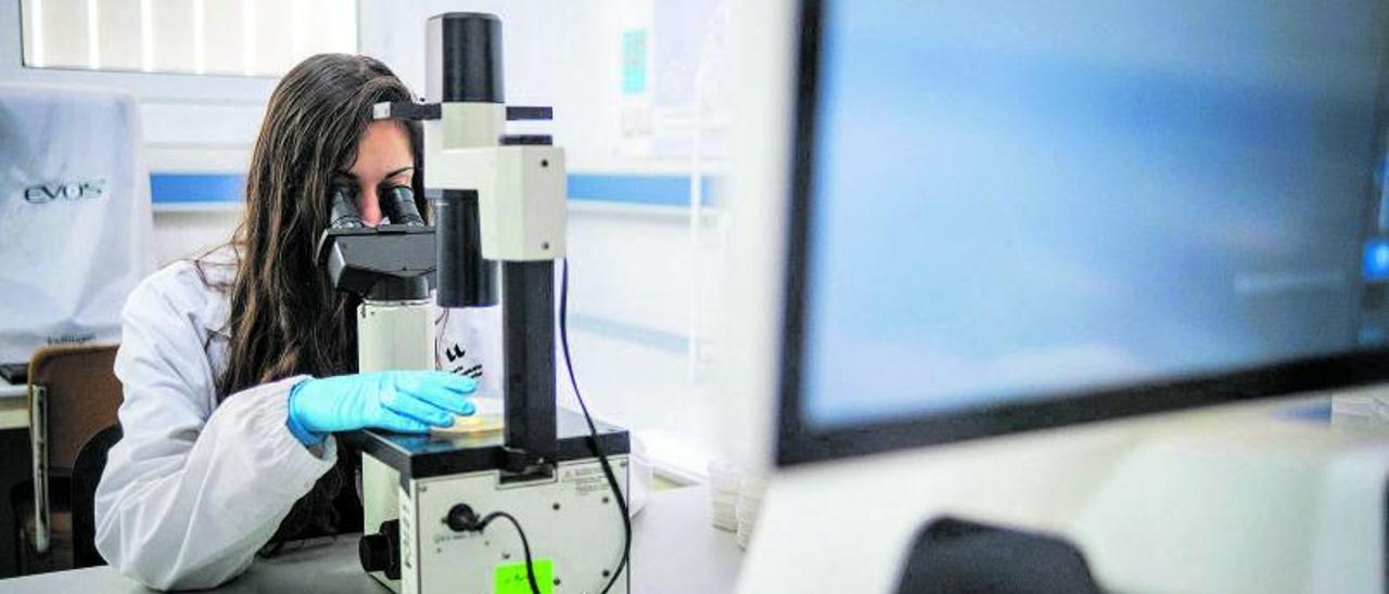 Imagen de archivo de una investigadora trabajando en un laboratorio. | | E.D.