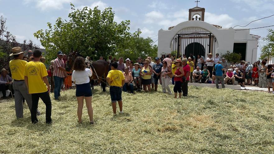 Sedella celebra el VIII Día de la Trilla y reconoce la labor de la Diputación durante la pandemia
