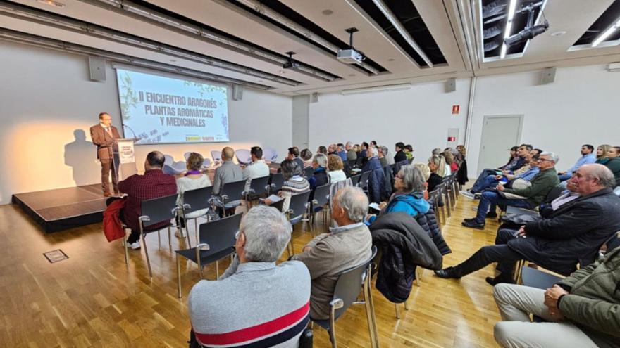 El diputado delegado de Desarrollo Económico, José Cebollero, durante la presentación del acto. | DIPUTACIÓN PROVINCIAL DE HUESCA