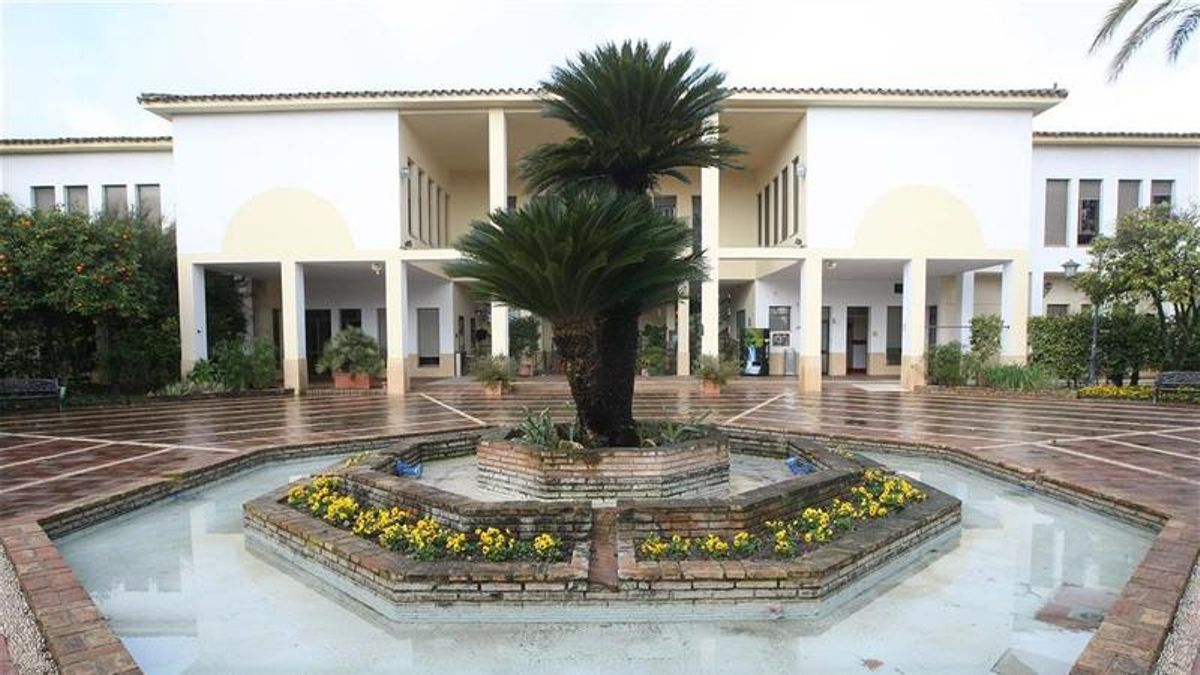 ‘Raíces en el jardín’