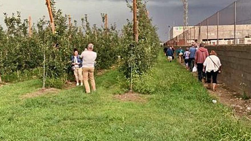 Visites a les pomeres de Sant Pere Pescador