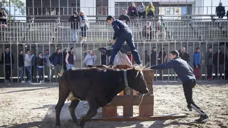 Benicàssim pedirá el pasaporte covid para ver los toros y repartirá tíquets para controlar el aforo
