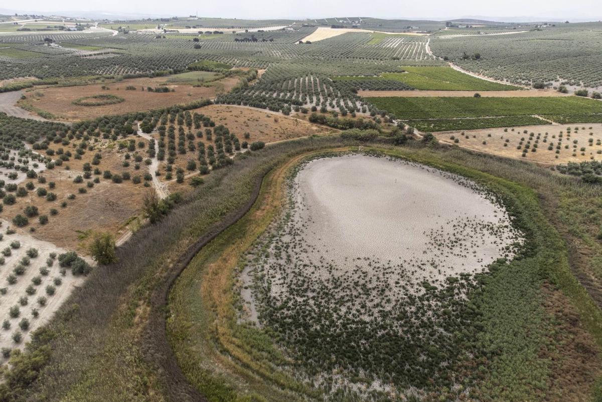 Sequía. 8 La escasez de lluvias también está afectando a estos espacios, alertan los ecologistas. | RAFA ALCAIDE/EFE