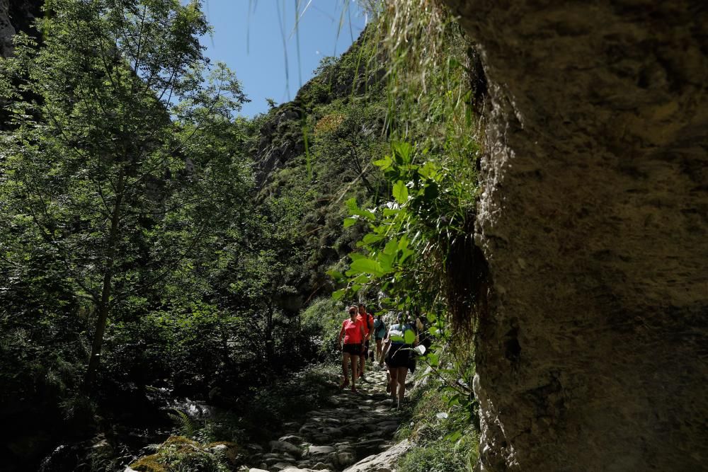 Rutas por Asturias: por las Foces de El Pino