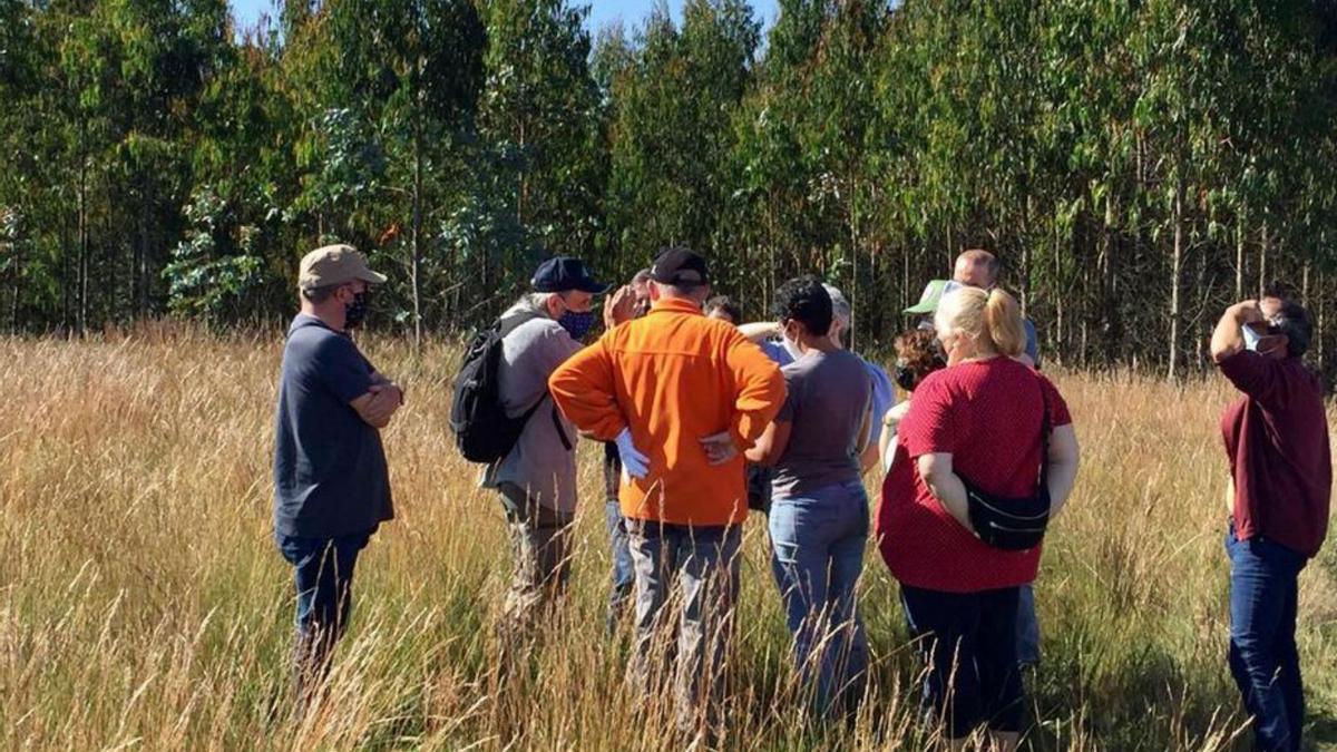 Visita de integrantes del BNG y ecologistas a las Brañas do Deo.  | // L.O.