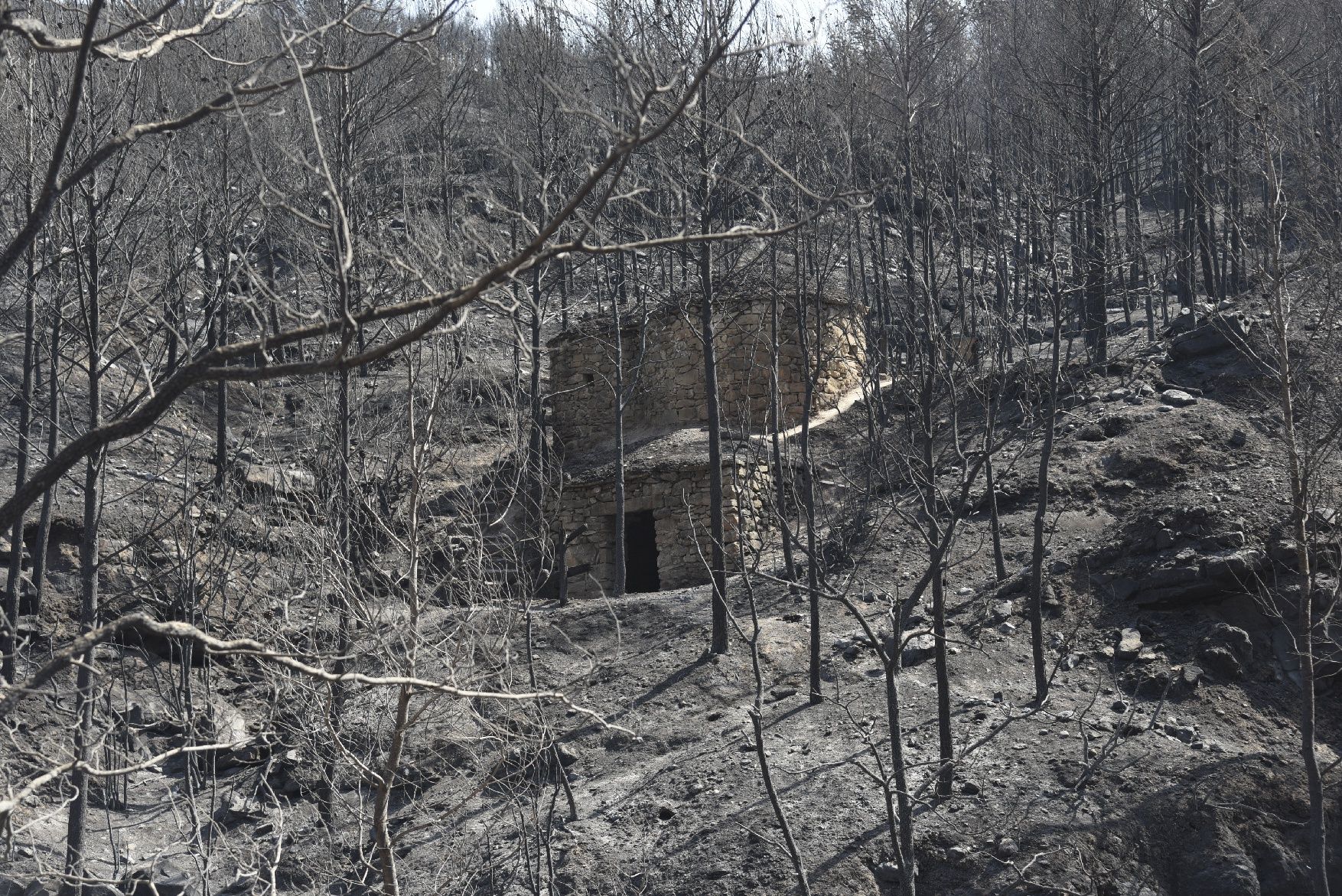 Així ha afectat el foc les tines de la Vall del Flequer