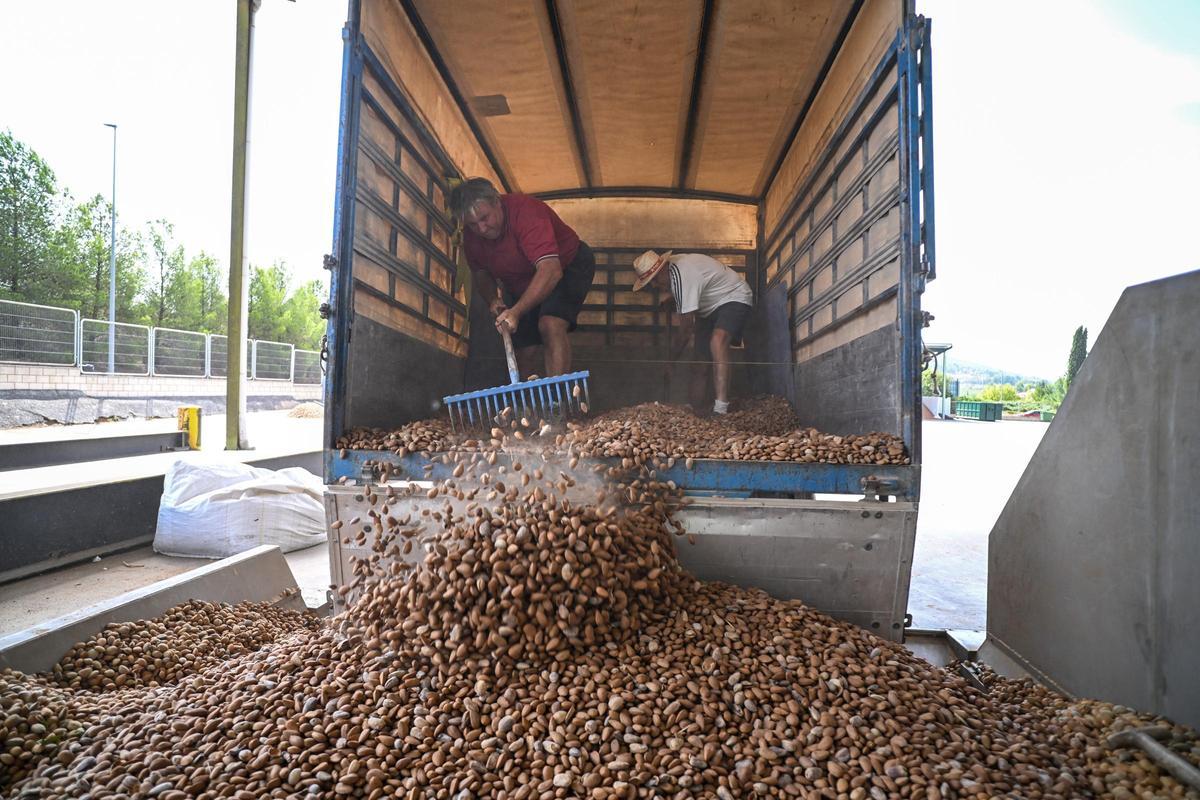 La exportación de almendra a la zona del conflicto se puede ver afectada.