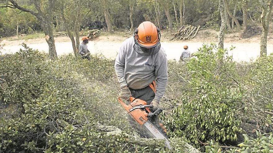 La Diputación activa el impulso a la gestión de la biomasa este año