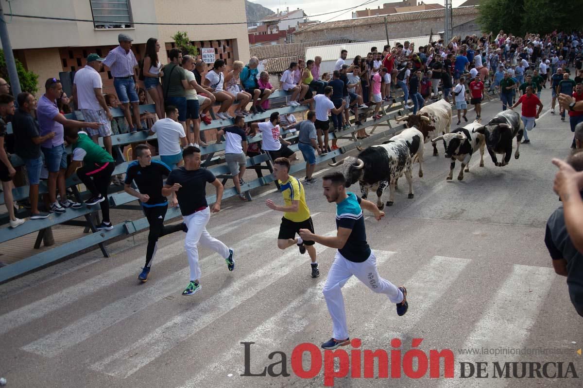 Primer encierro de la Feria del Arroz de Calasparra