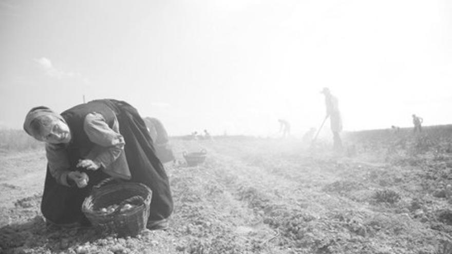 Heimat, la otra tierra