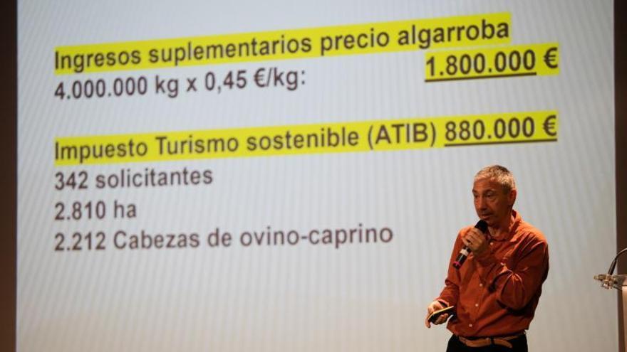 Algunas variedades de cocolates elaboradas con algarroba. | VICENT MARÍ