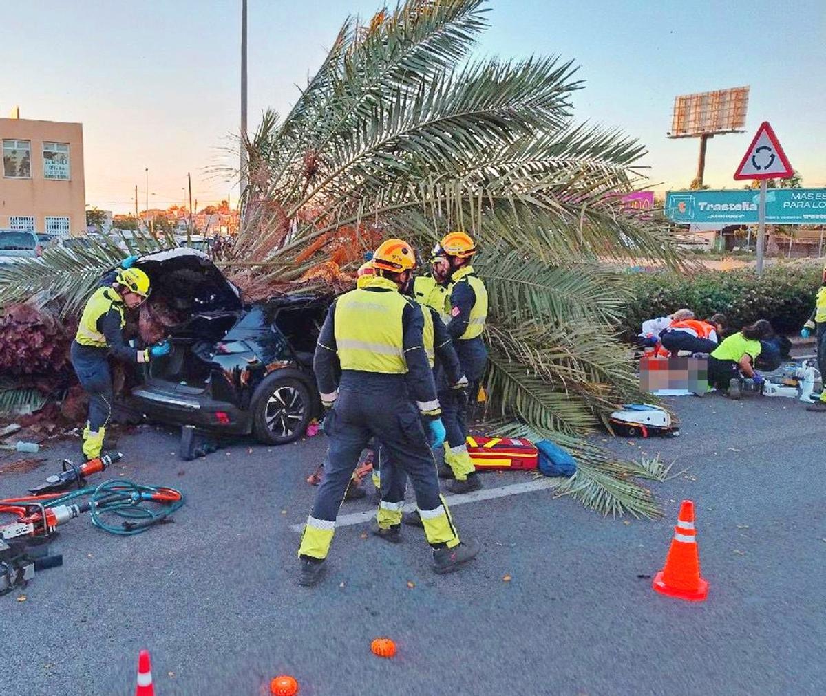 Bomberos y sanitarios auxilian al joven conductor en la CV-905 en Torrevieja tras el desplome de la palmera sobre el vehículo que conducía